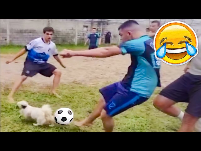 BEST FUNNY FOOTBALL VIDEOS 🤣 FOOTBALL FAILS, SKILLS, GOALS & MORE