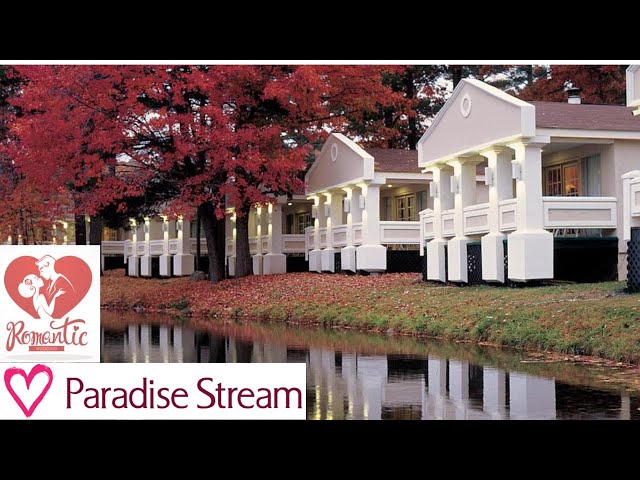 Pocono Stream: Look At All The Wildlife On This Island Of Love!
