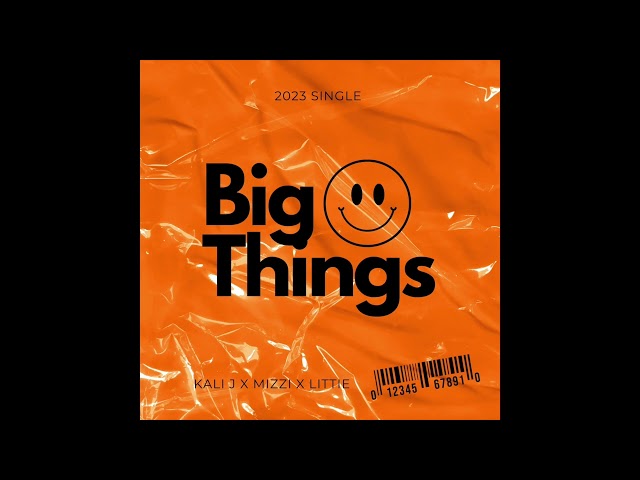 MIZZI x Kali J x LiTTiE - BIG THINGS - (Official Audio)
