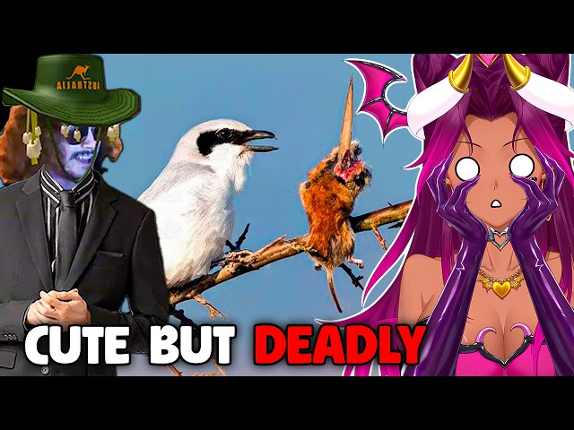 I CAN'T BELIEVE THIS FISH EXISTS! | VTuber Reacts to MoreParz