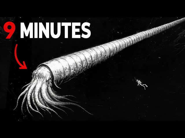 How Long You'd Last in Every Prehistoric Ocean