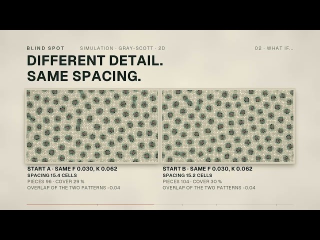 Turing Patterns Explained: Why Small Changes Decide Spots or Stripes (Simulation)