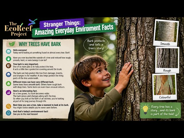 Why Tree Bark Is More Than Just A Shield 🛡️