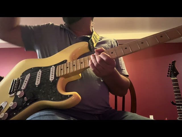 Dimarzio Fs-1