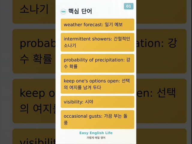 [Shorts] 1분으로 영어 배우기!! 하늘이 결정을 못 할 때: 일기 예보를 이해하는 유쾌한 영어회화