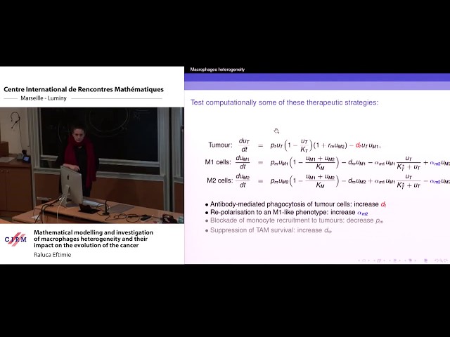 Raluca Eftimie: Mathematical modelling and investigation of macrophages heterogeneity and...