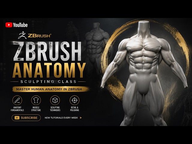 ZBrush Anatomy Sculpting Tutorial for Beginners | Complete Human Anatomy Guide (Step-by-Step)