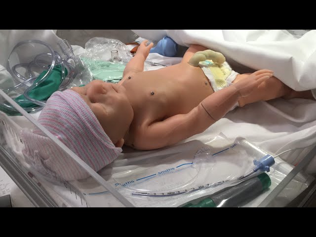 NRP Hands on Simulation Training Video 2021