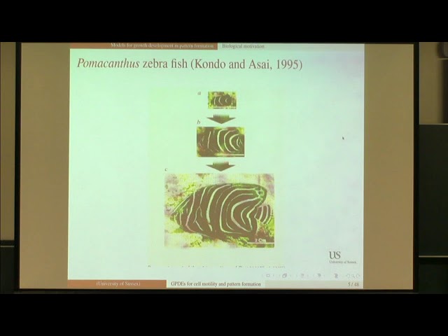 Prof. Anotida Madzvamuse | Models for growth development in cell motility and pattern formation