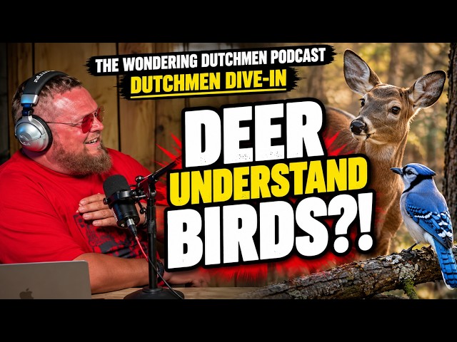 Do Animals Understand Each Other? This Gets Weird