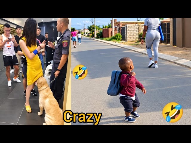 Best Funny Videos And Crazy Clips On The Internet 😂//Try Not To Laugh Challenge 