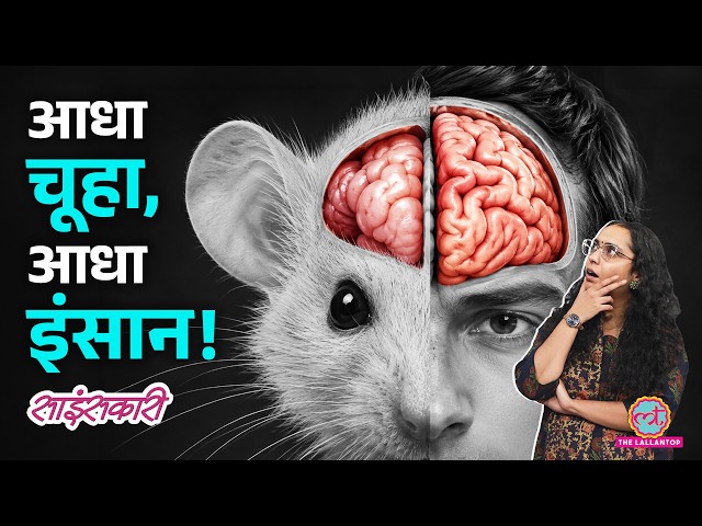 Super-Intelligence: चूहों में Human Brain फिट करके Scientists क्या बनाना चाहते हैं? | Sciencekaari