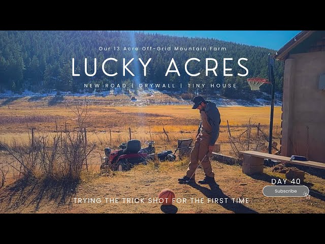Lucky Acres Gets a New Road, and the Tiny House Gets Drywall! (Day 40)