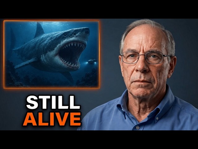 A Deep-Sea Camera Filmed Something the Size of a Megalodon Circling at 6,000 Feet