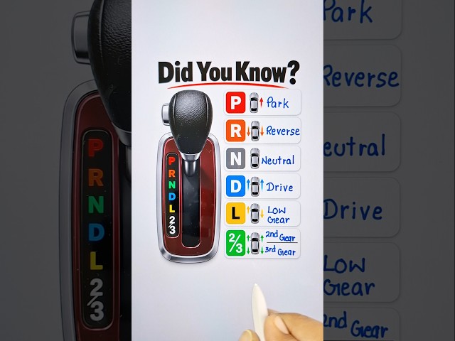 Basic Knowledge About Car Gear 🔥 #cargear #education #fbreels