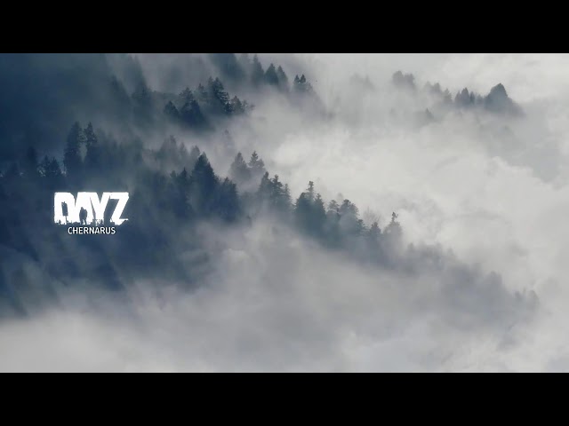 Finally Back to Chernarus - Playing With Viewers - DayZ 1440p