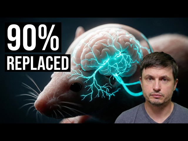 Human Neurons Grew Inside a Living Mouse Brain With Bizarre Results