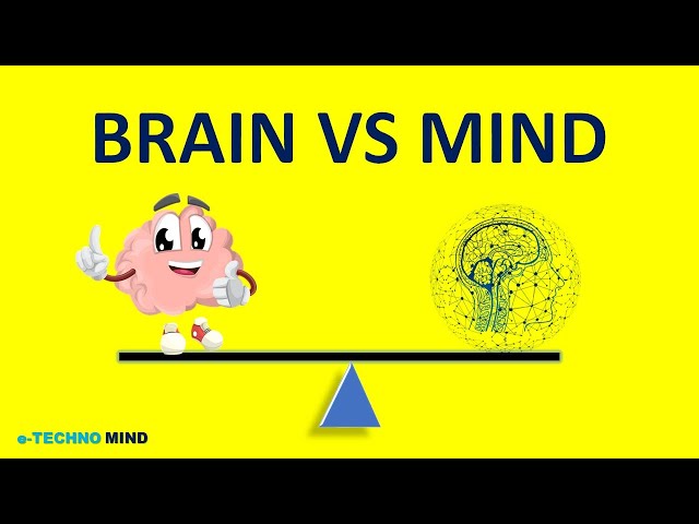 What is the difference between the brain and  mind ( Mind Vs Brain) -simple explanation.