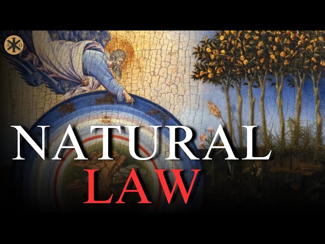 Objective Morality exists and here's how