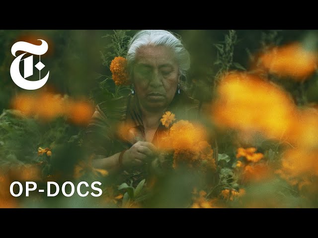 For Day of the Dead, I Followed This Flower's Journey | An Emmy-Nominated Op-Doc