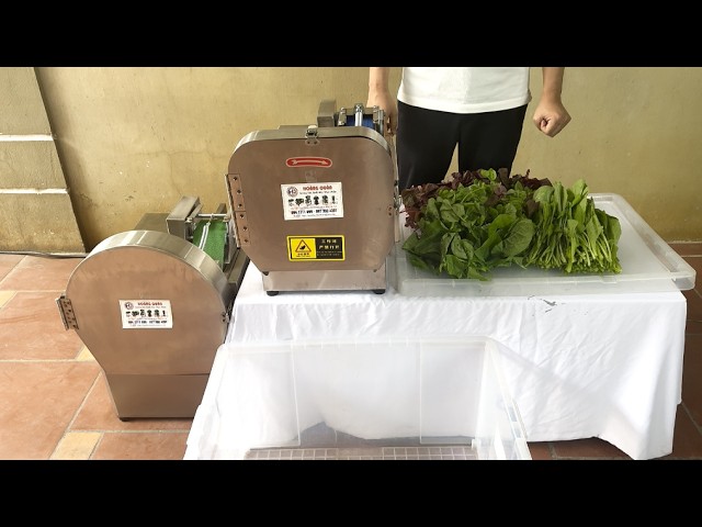 JQ18 Vegetable and Leaf Slicer