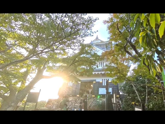 Gifu Castle Tower to Main Gate – 360° ASMR Walk - 岐阜城の絶景散歩