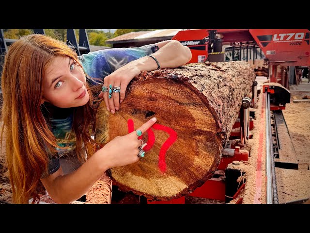 This log is how old?!￼
