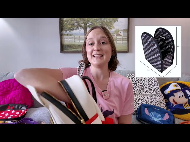 Easy Essential to Organize Inside a Loungefly Backpack! (Bag Organizer Review)