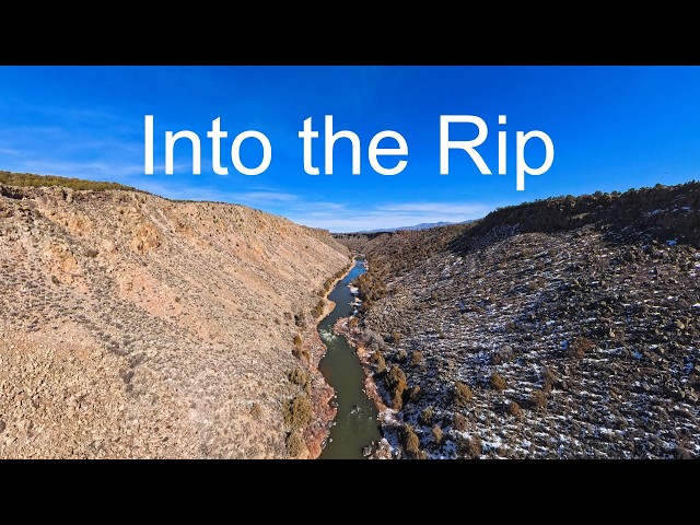 Into the Rip 360