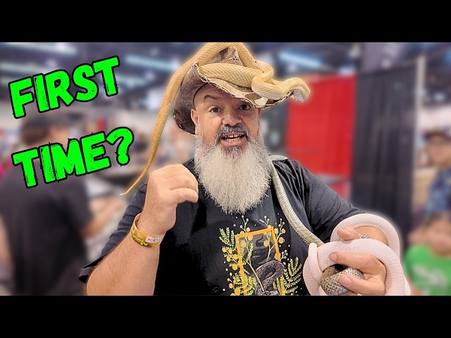 What It's Really Like at a Reptile Show (Beginner Walkthrough)