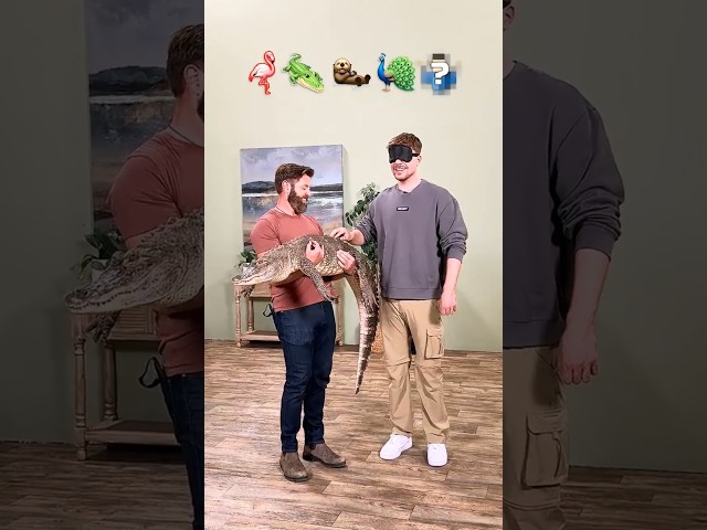 Mr beast challenging shorts video #mrbeast #usa #world #mrbeastshorts #youtube #callenge