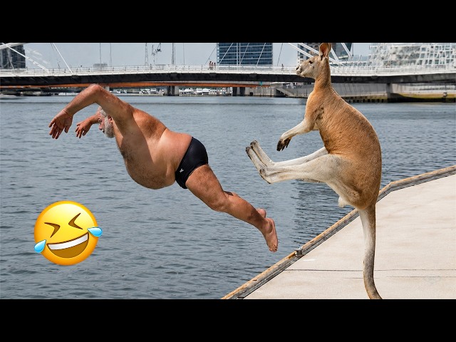 Funniest Animal Videos 2026 😂 When Pets Forget How To Behave