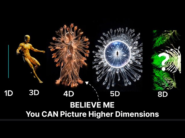 This Is What Your Existence Looks Like in Higher Dimensions: 0D–8D Explained in Detail...