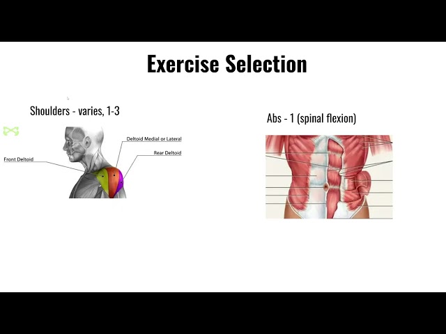 SUPER LONG BEGINNERS GUIDE TO SCIENCE BASED LIFTING