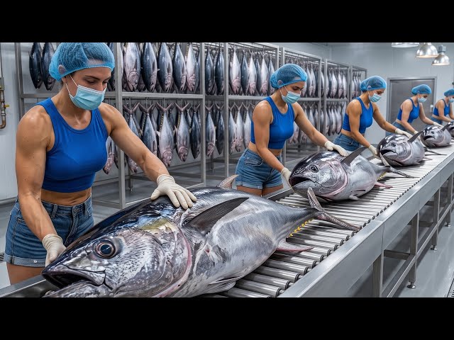 Inside the U.S Factory Turning Millions of Salmon into Premium Omega-3 Fish Oil Full Process
