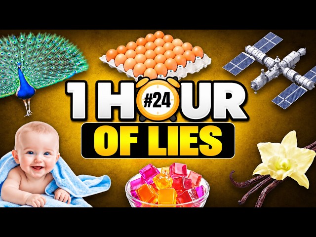 1 HOUR Of MYTHS A MONKEY Will DEMOLISH For YOU, One By One 😯