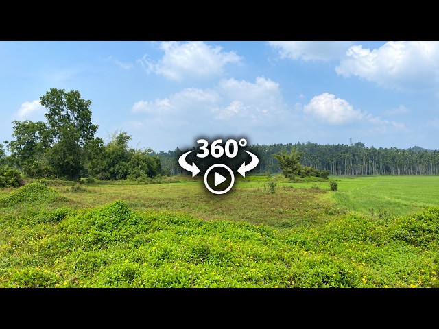 Agricultural Land for Sale in Varummal, Anjukunnu, Wayanad.