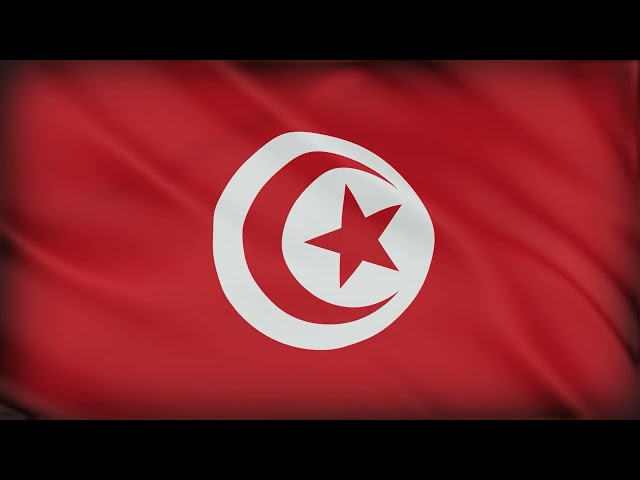 Tunisia Flag Waving | 1 Hour Seamless Loop | 4K HD