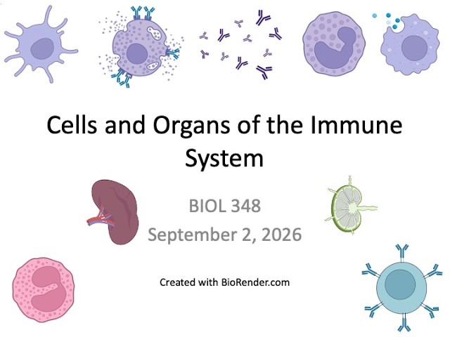 Immunology Fall 2026: Lecture 2 Cells and Organs of the Immune System Part 1