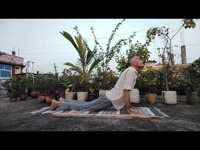 भुजंगासन 