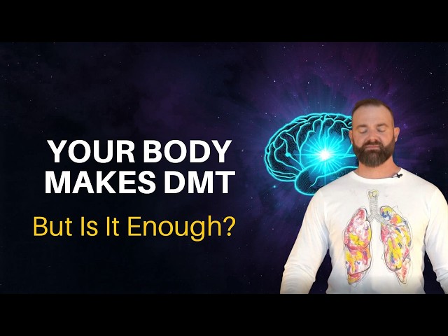 Does Breathwork Release DMT? What the Research Actually Shows | Decoding Breath