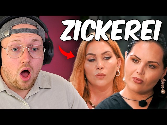 CRASHOUT among the BEAUTIES! NERD ON DISCORD? 💅😂 | ZARBEX reacts to BEAUTY & THE NERD 2026