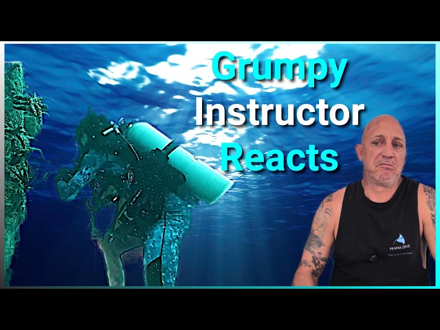 Grumpy Instructor Reacts  PADI Wreck Diving Course