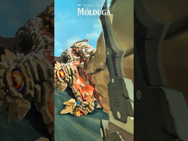 VR Molduga!!! #vrgaming  #botw