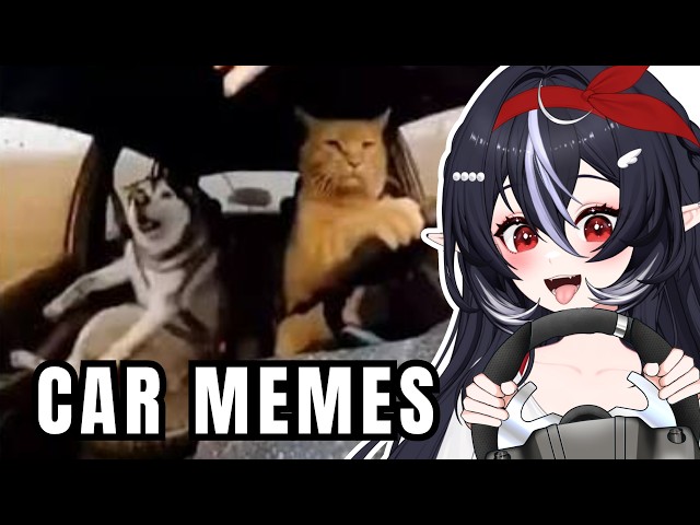 Rating Car Memes