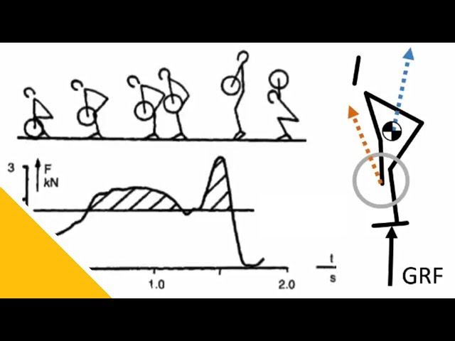 Weightlifting Biomechanics: Selected Thoughts | Dr Kristof Kipp
