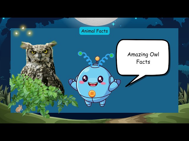 Kindergarten Learning | Reading Animal Facts: Owls | by: Medalton Prep