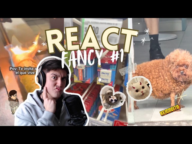LION DOG OR EVIL CAT? | Fancy TikTok React #1