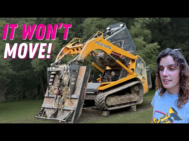 I Fixed My DEAD Skid Steer - Then Put It To WORK Clearing!!