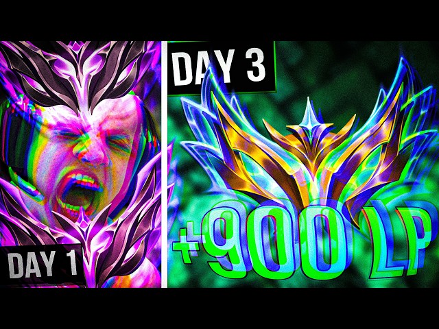 +900 LP IN 3 DAYS